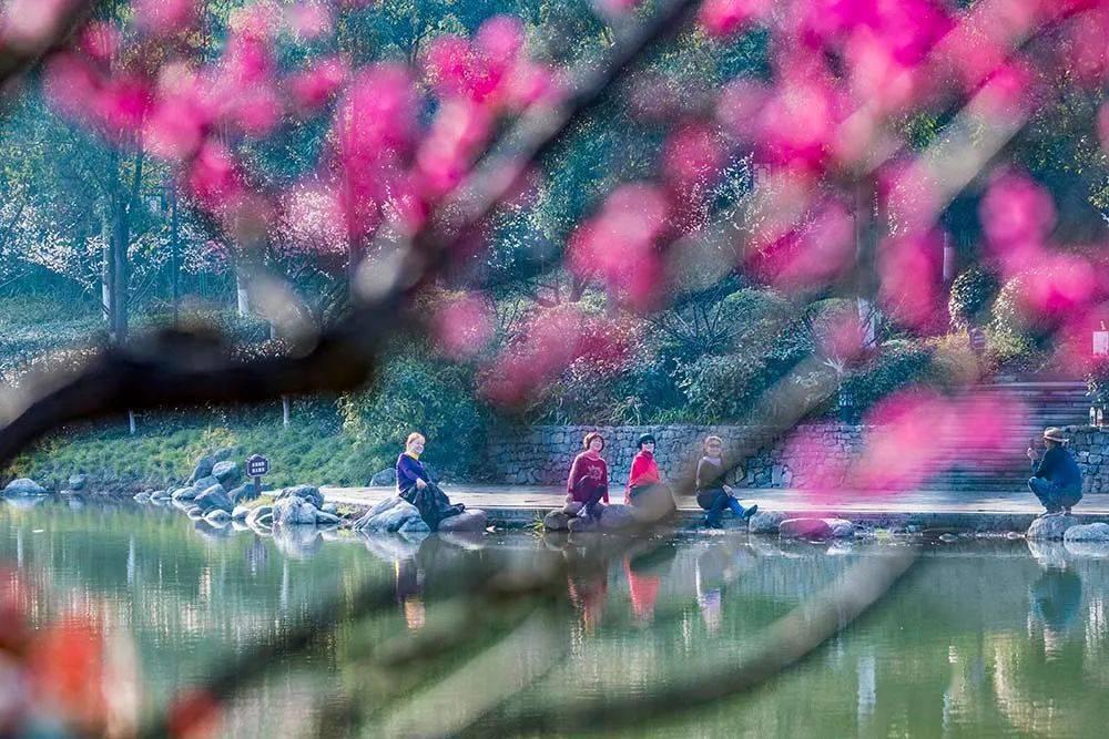 蜡笔小新之水果岛